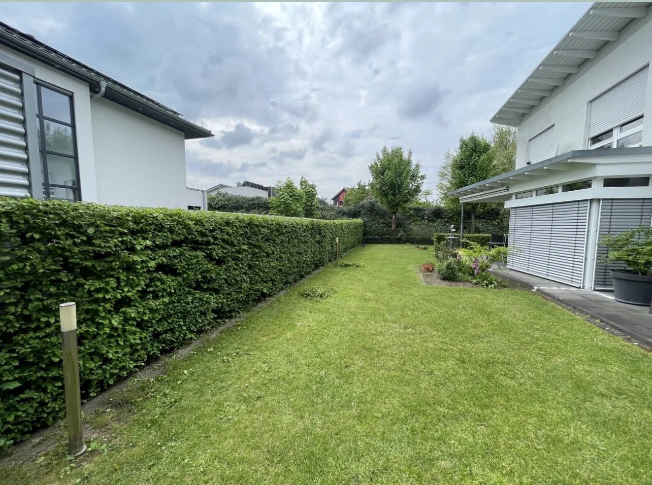 Gepflegte Außenanlage mit Hecke und Rasen