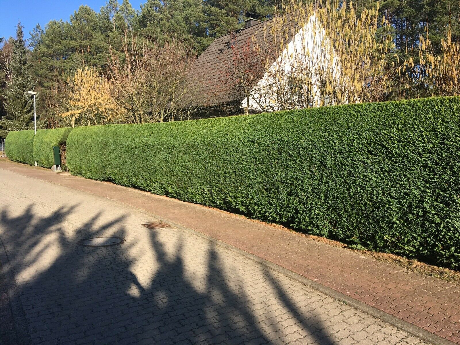 Gereinigte Terrasse und gepflegte Außenfläche als Referenzarbeit